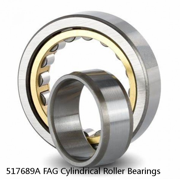 517689A FAG Cylindrical Roller Bearings