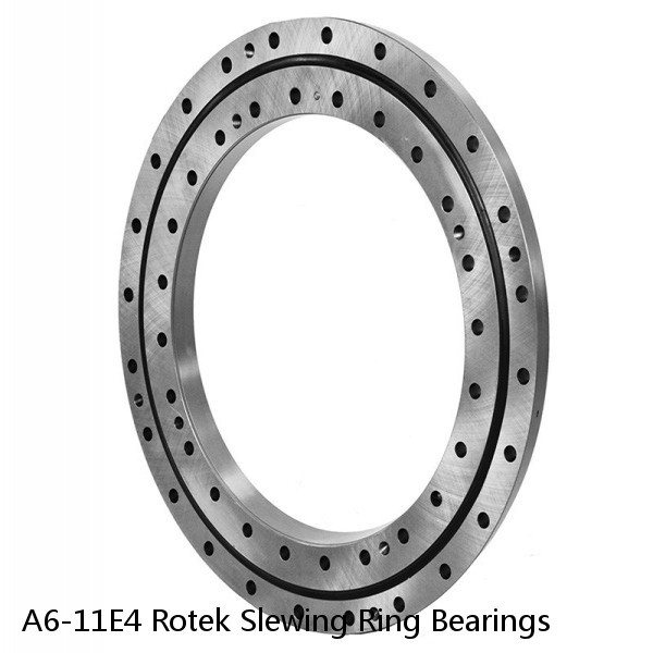 A6-11E4 Rotek Slewing Ring Bearings