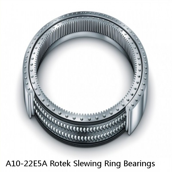 A10-22E5A Rotek Slewing Ring Bearings