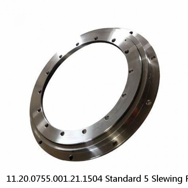 11.20.0755.001.21.1504 Standard 5 Slewing Ring Bearings