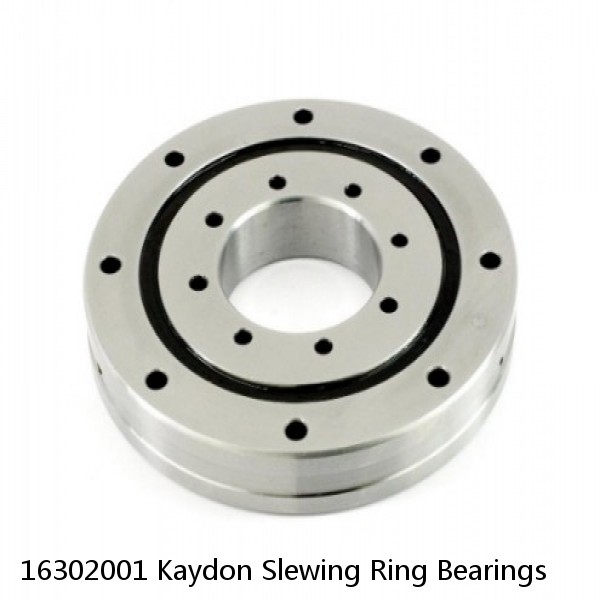 16302001 Kaydon Slewing Ring Bearings