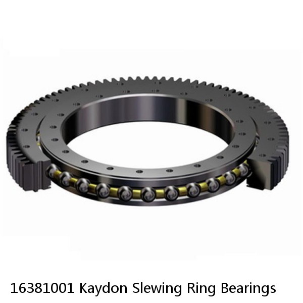 16381001 Kaydon Slewing Ring Bearings