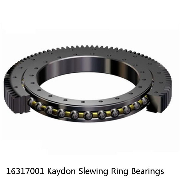 16317001 Kaydon Slewing Ring Bearings