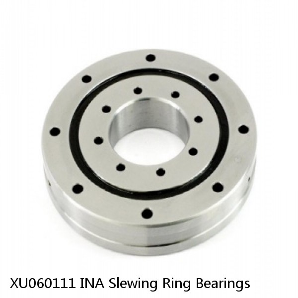 XU060111 INA Slewing Ring Bearings