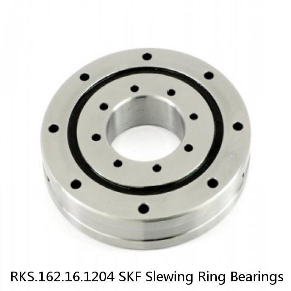 RKS.162.16.1204 SKF Slewing Ring Bearings