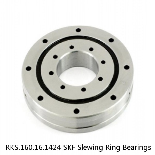 RKS.160.16.1424 SKF Slewing Ring Bearings