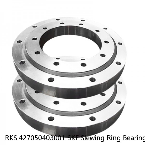 RKS.427050403001 SKF Slewing Ring Bearings