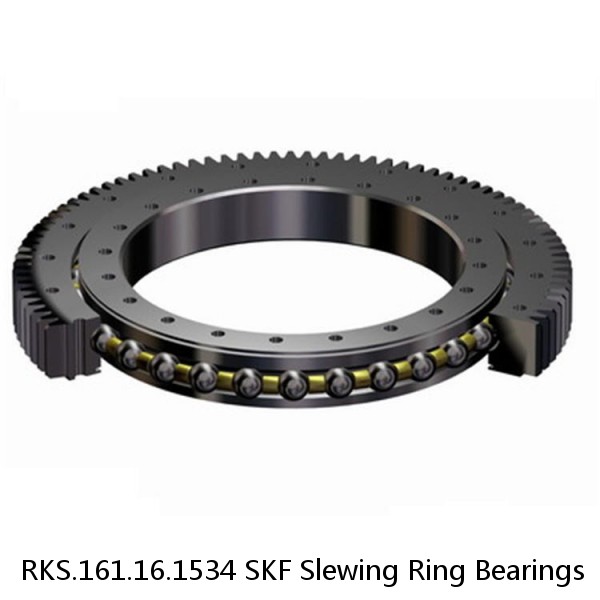 RKS.161.16.1534 SKF Slewing Ring Bearings