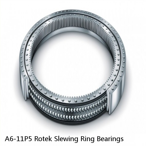 A6-11P5 Rotek Slewing Ring Bearings