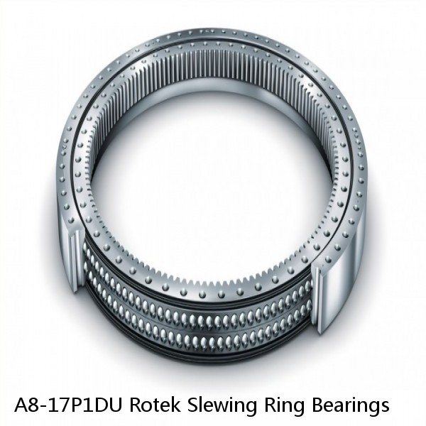 A8-17P1DU Rotek Slewing Ring Bearings