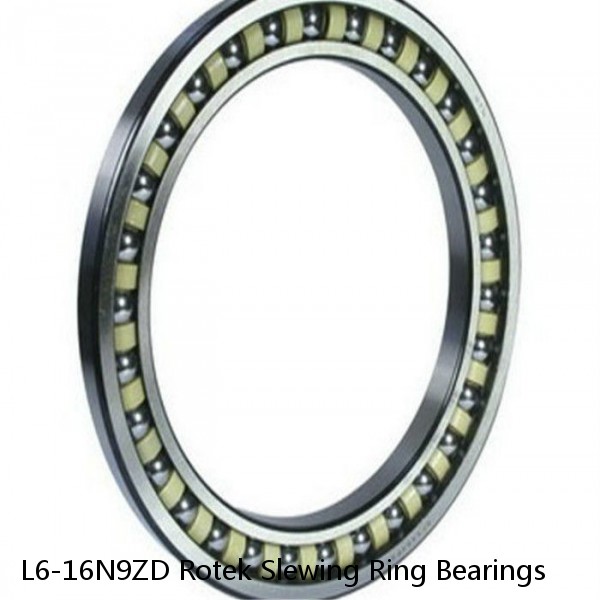 L6-16N9ZD Rotek Slewing Ring Bearings