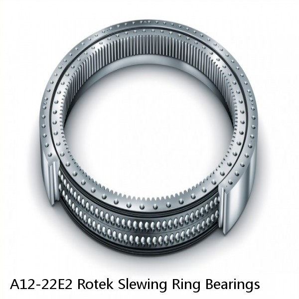 A12-22E2 Rotek Slewing Ring Bearings