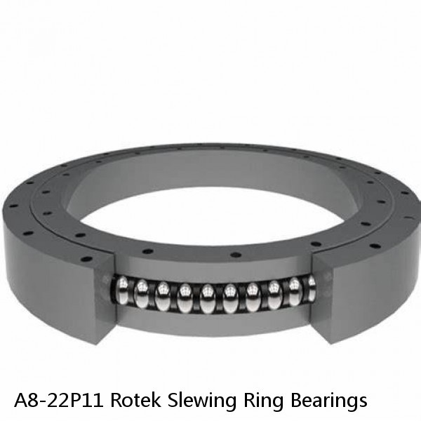 A8-22P11 Rotek Slewing Ring Bearings