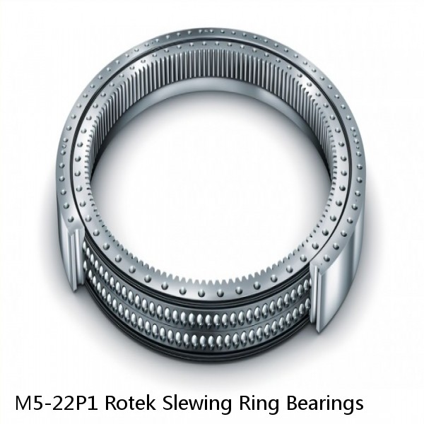 M5-22P1 Rotek Slewing Ring Bearings