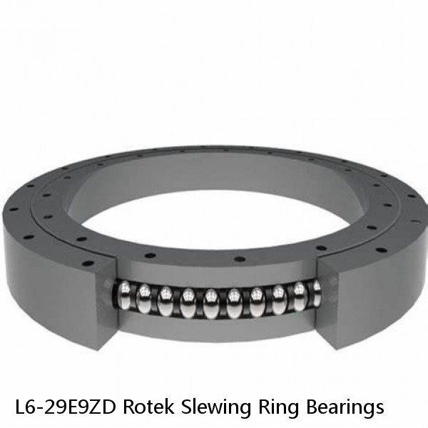 L6-29E9ZD Rotek Slewing Ring Bearings