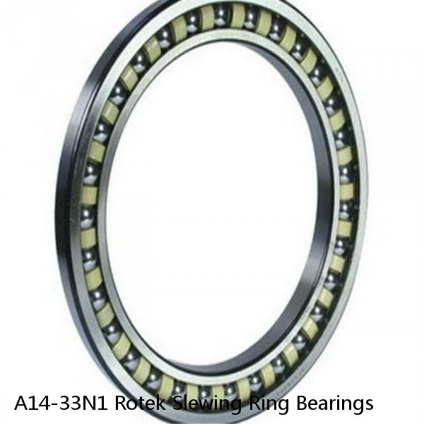 A14-33N1 Rotek Slewing Ring Bearings