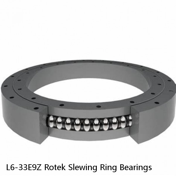 L6-33E9Z Rotek Slewing Ring Bearings