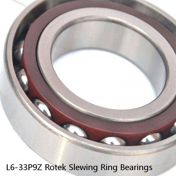 L6-33P9Z Rotek Slewing Ring Bearings