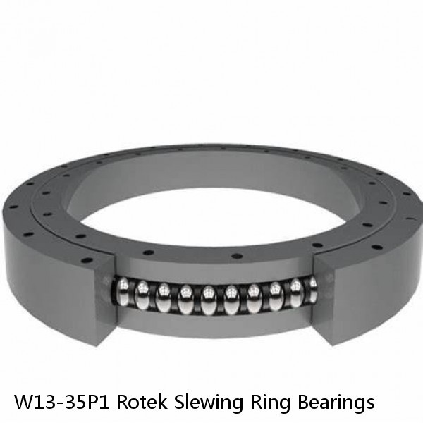 W13-35P1 Rotek Slewing Ring Bearings