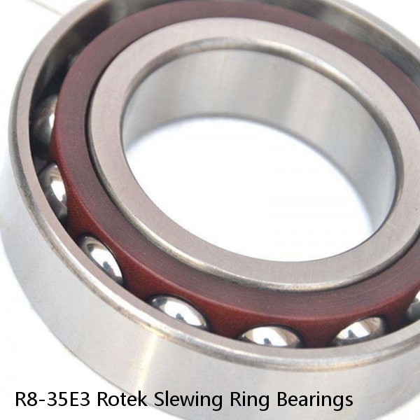 R8-35E3 Rotek Slewing Ring Bearings