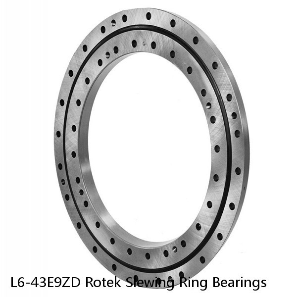 L6-43E9ZD Rotek Slewing Ring Bearings