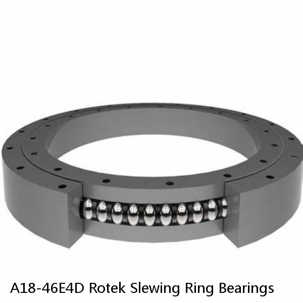 A18-46E4D Rotek Slewing Ring Bearings