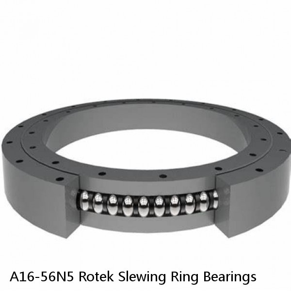 A16-56N5 Rotek Slewing Ring Bearings