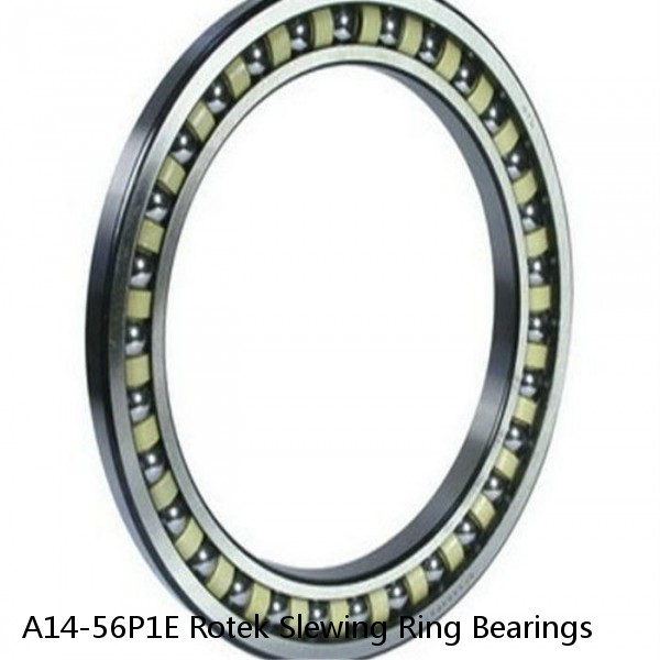 A14-56P1E Rotek Slewing Ring Bearings