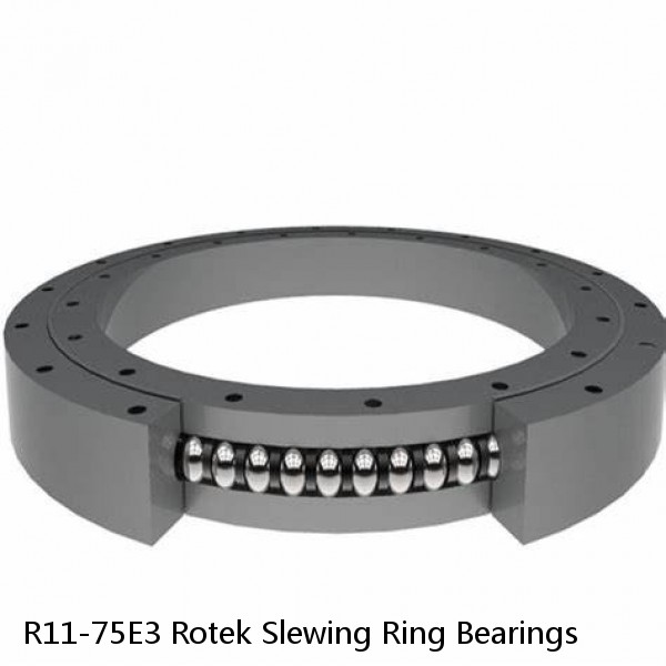 R11-75E3 Rotek Slewing Ring Bearings