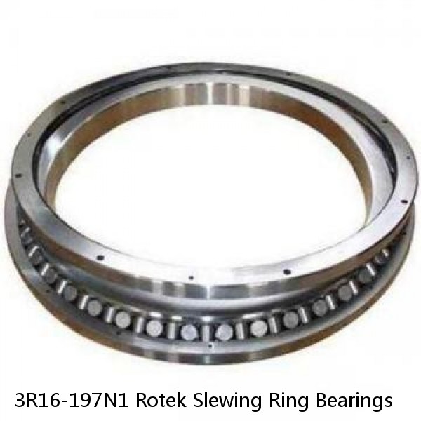 3R16-197N1 Rotek Slewing Ring Bearings