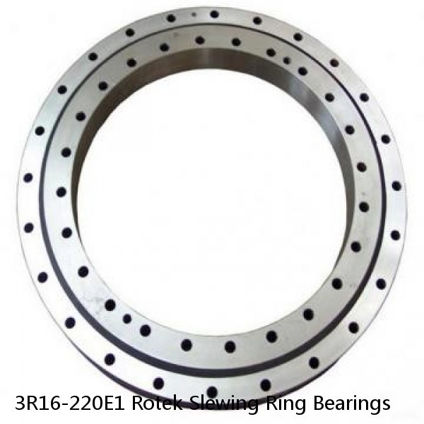 3R16-220E1 Rotek Slewing Ring Bearings