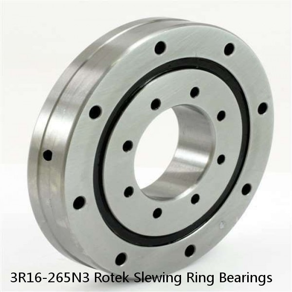 3R16-265N3 Rotek Slewing Ring Bearings