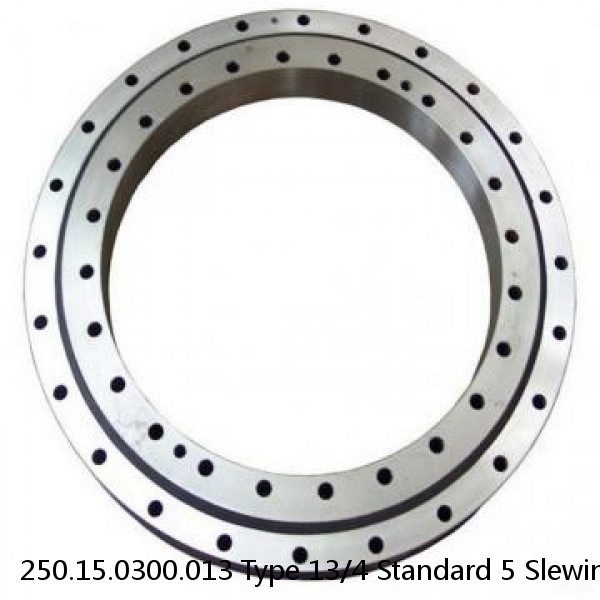 250.15.0300.013 Type 13/4 Standard 5 Slewing Ring Bearings