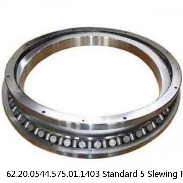 62.20.0544.575.01.1403 Standard 5 Slewing Ring Bearings