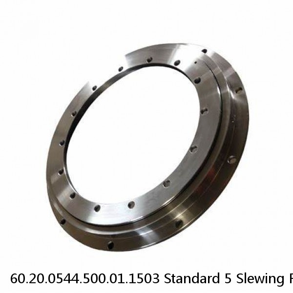 60.20.0544.500.01.1503 Standard 5 Slewing Ring Bearings