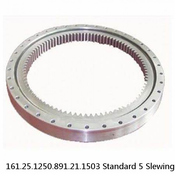 161.25.1250.891.21.1503 Standard 5 Slewing Ring Bearings