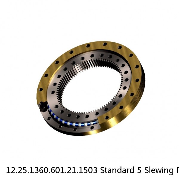 12.25.1360.601.21.1503 Standard 5 Slewing Ring Bearings