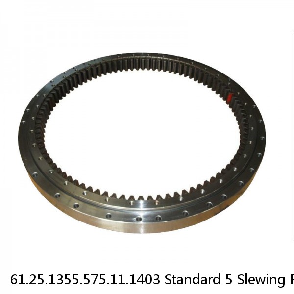 61.25.1355.575.11.1403 Standard 5 Slewing Ring Bearings