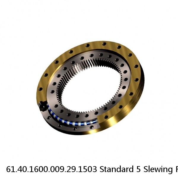 61.40.1600.009.29.1503 Standard 5 Slewing Ring Bearings