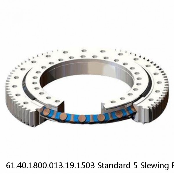 61.40.1800.013.19.1503 Standard 5 Slewing Ring Bearings