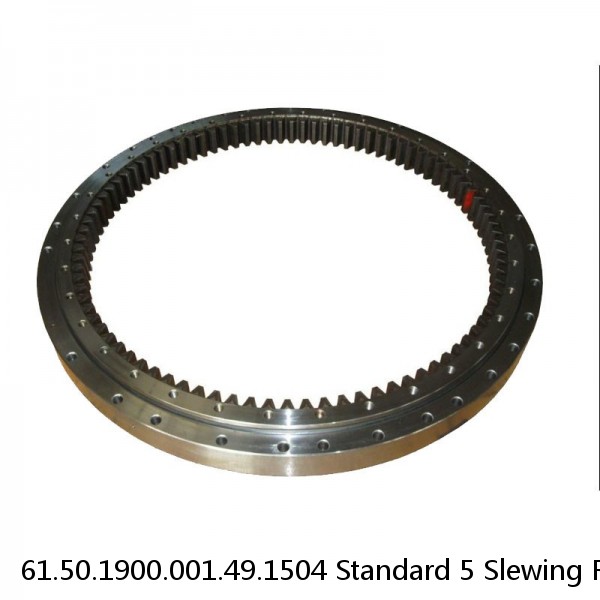 61.50.1900.001.49.1504 Standard 5 Slewing Ring Bearings