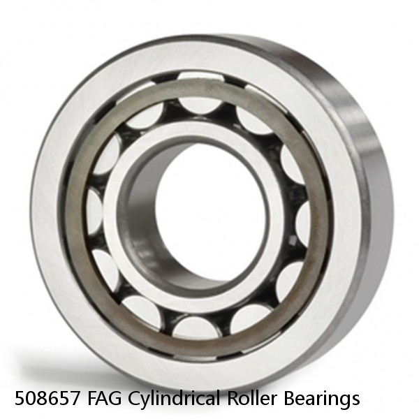 508657 FAG Cylindrical Roller Bearings