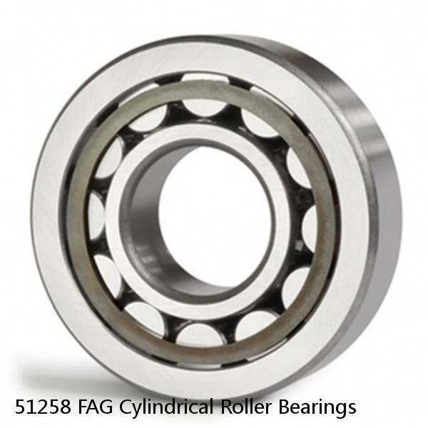 51258 FAG Cylindrical Roller Bearings