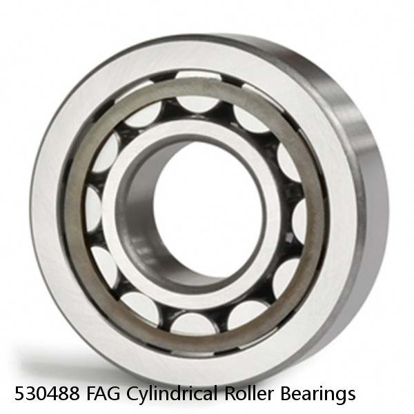 530488 FAG Cylindrical Roller Bearings