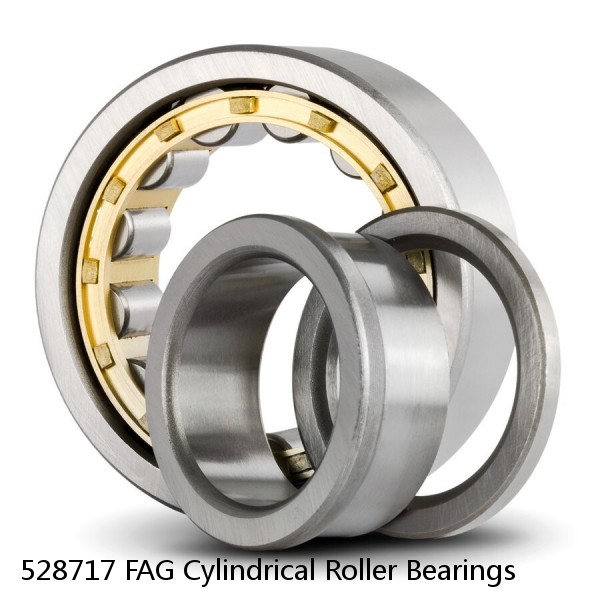 528717 FAG Cylindrical Roller Bearings