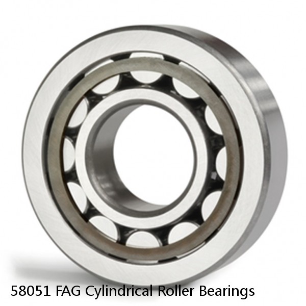 58051 FAG Cylindrical Roller Bearings