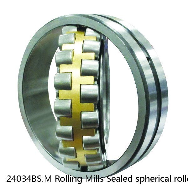 24034BS.M Rolling Mills Sealed spherical roller bearings continuous casting plants