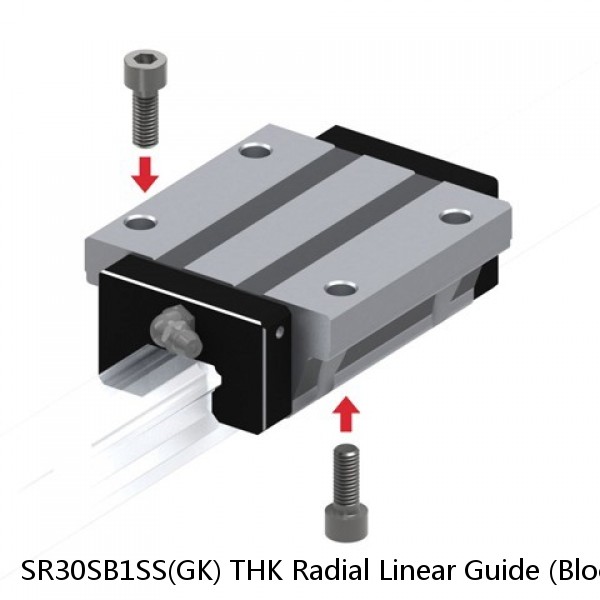 SR30SB1SS(GK) THK Radial Linear Guide (Block Only) Interchangeable SR Series